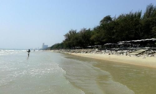 Thai Paradise South 255/23