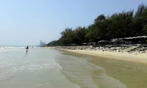 Thai Paradise South 255/2 Thai Paradise South 255/2