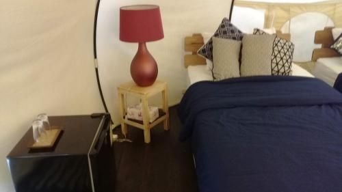 "The Cotton Homestay" (The Cotton Homestay)4