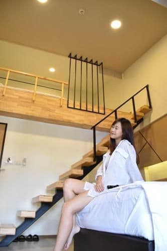 Duplex Apartment