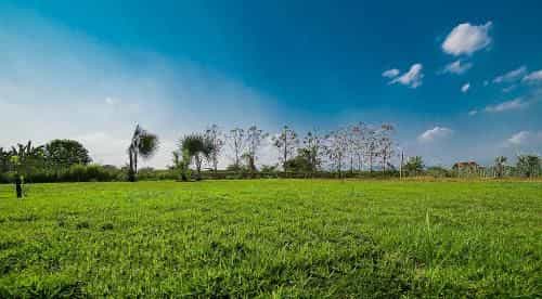 Baan Suan SomseiyW Homestay Baan Suan SomseiyW Homestay