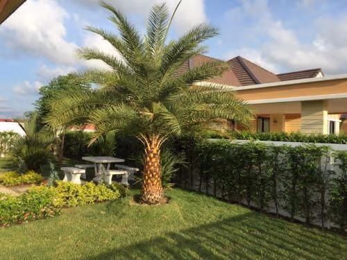 Bungalow with Garden View