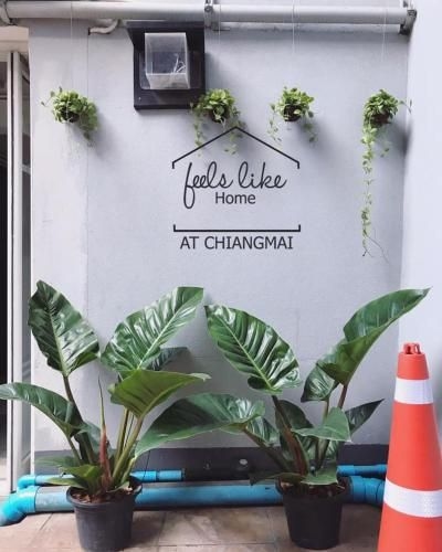 อยู่บ้านเเอทเชียงใหม่ : Feels like home (Feels like home)0