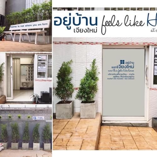 อยู่บ้านเเอทเชียงใหม่ : Feels like home (Feels like home)2