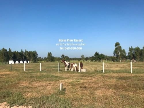 ฮอร์ส วิว รีสอร์ท อ พนมไพร จ ร้อยเอ็ด (Horse View Resort)1