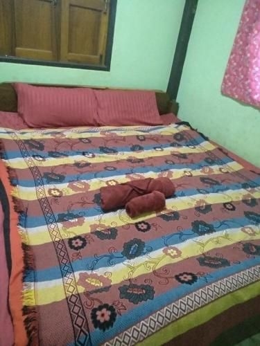 Ice homestay (Ice homestay)1