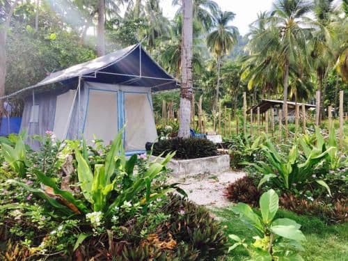Tent