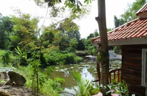 Farm stay 1000 Chang Valley Farm stay 1000 Chang Valley