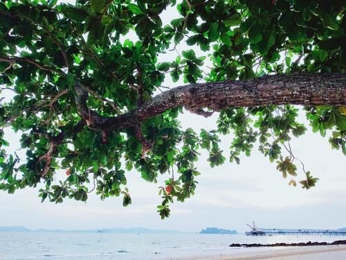 มุกรดา เฮาส์ กระบี่ (Mukrada House Krabi)2