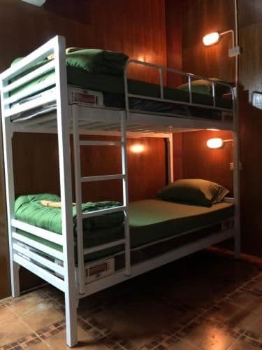 Bunk Bed in Mixed Dormitory Room