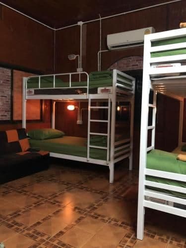 Bunk Bed in Mixed Dormitory Room