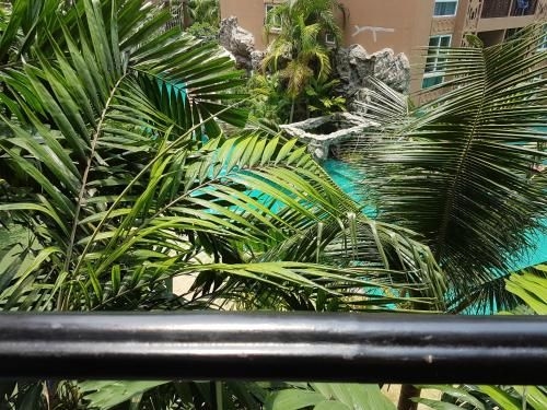 Life in Paradise3
