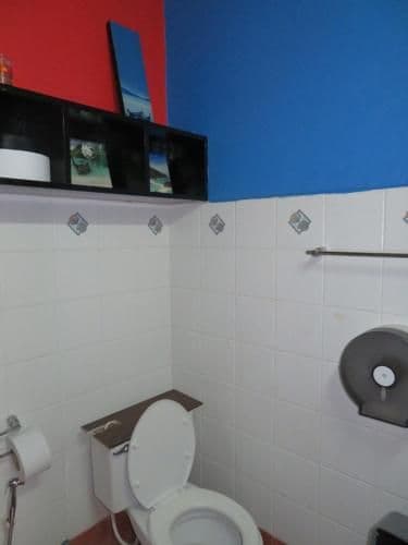 Bunk Bed in Mixed Dormitory Room