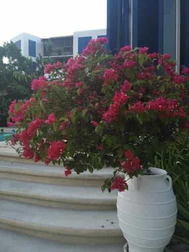 The Che @ pool access Beach Front by Away The Che @ pool access Beach Front by Away
