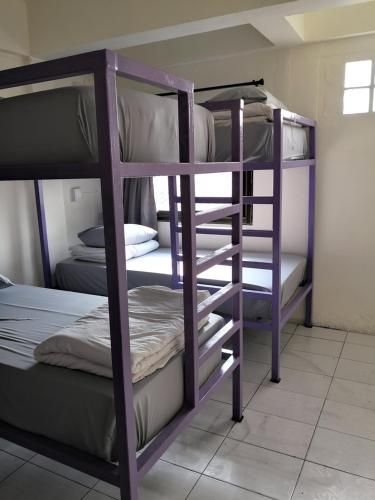 Purple Monkey Backpackers3