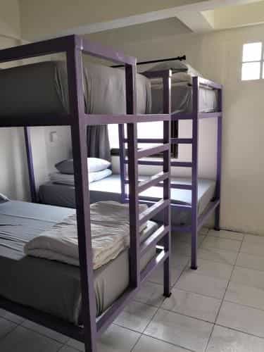 Purple Monkey Backpackers Purple Monkey Backpackers