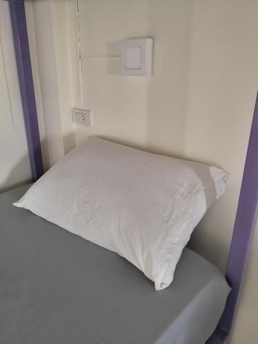 Purple Monkey Backpackers4
