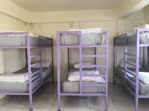 Purple Monkey Backpackers Purple Monkey Backpackers