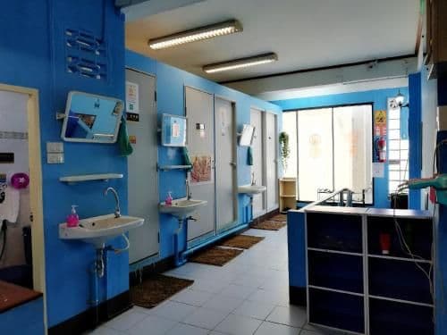 Bed in 6-Bed Mixed Dormitory Room