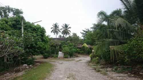 Baan Suan Khun Pan Khao Yai Baan Suan Khun Pan Khao Yai