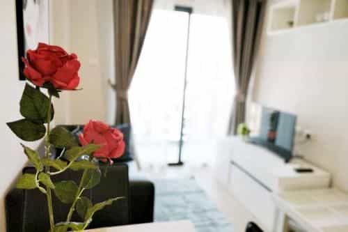 Cozy Living @Trams Square Chiang Mai Cozy Living @Trams Square Chiang Mai