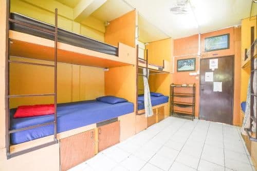 Bunk Bed in Mixed Dormitory Room
