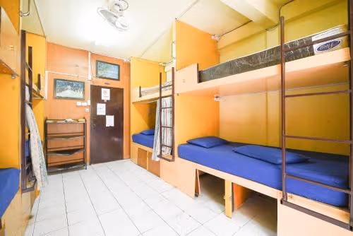 Bunk Bed in Mixed Dormitory Room