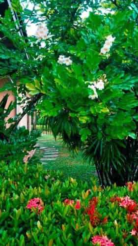 Family-friendly house, a few steps from the pool and close to the ocean. Family-friendly house, a few steps from the pool and close to the ocean.