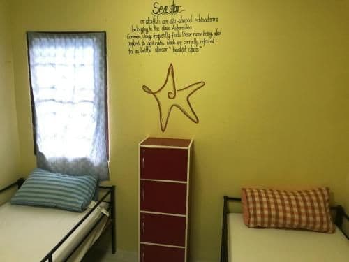 Mixed Dormitory Room