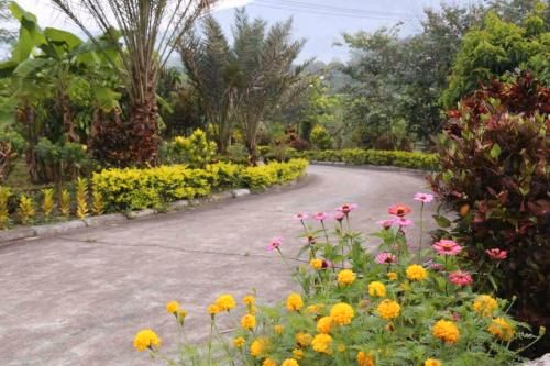 Mountain Pool Villa Suan Pheung3