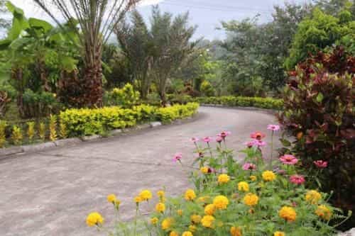 Mountain Pool Villa Suan Pheung Mountain Pool Villa Suan Pheung