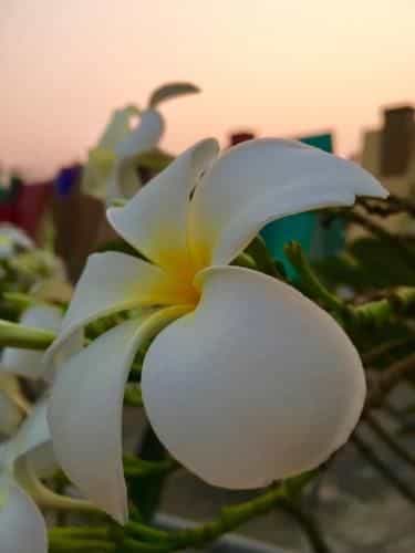 Cheun Jai Home Cheun Jai Home