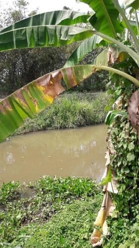 Aungkab Dutch Home Stay Aungkab Dutch Home Stay