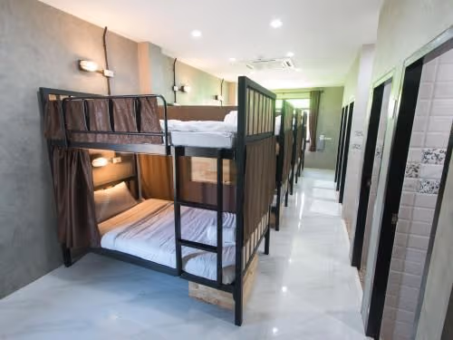 Bunk Bed in Mixed Dormitory Room