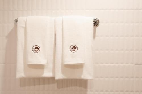 Superior Twin Room with Private Bathroom