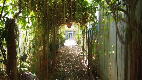 Baanchaokoh Homestay1