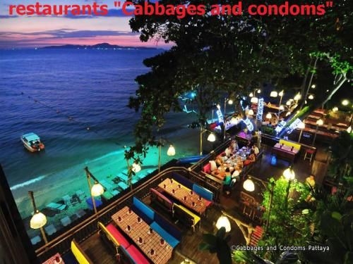 Tropical Garden Studio4