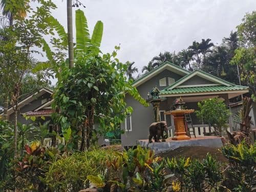 One-Bedroom Bungalow