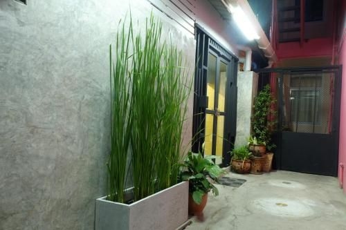 Night Bazaar Budget Room3
