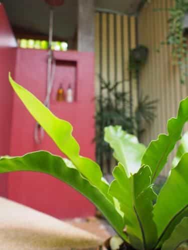 ดอยอินทนนท์ วิว รีสอร์ท ดอยอินทนนท์ วิว รีสอร์ท