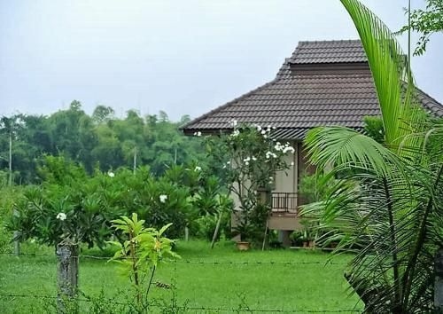 Jamjuree Garden0