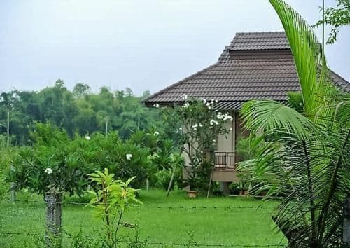 Jamjuree Garden Jamjuree Garden