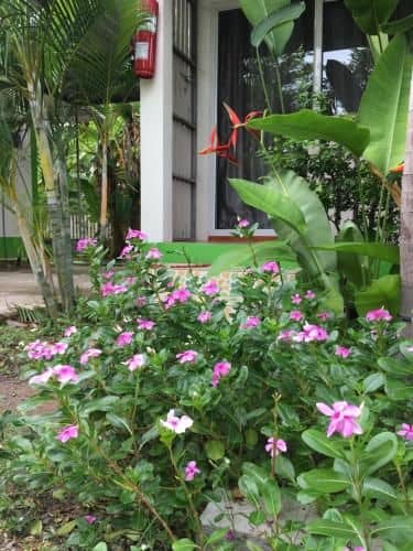 Nayai Resort Nayai Resort