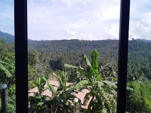 Double Room with Mountain View