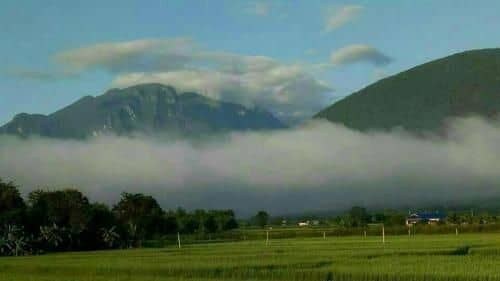 Ban Thung Talay Mok Chiangdao Ban Thung Talay Mok Chiangdao