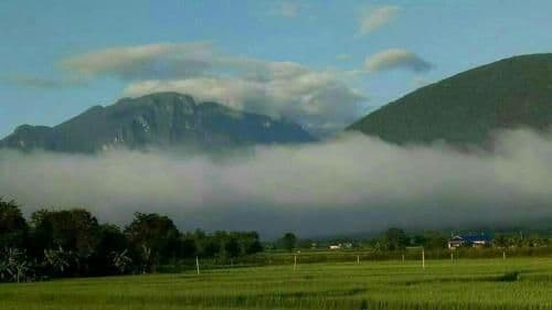 Ban Thung Talay Mok Chiangdao Ban Thung Talay Mok Chiangdao