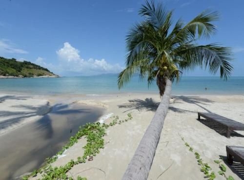 3 Bedroom Villa on Beach Front Resort TG254