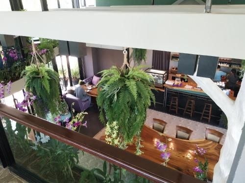 Saneh Maechan Coffee Home1