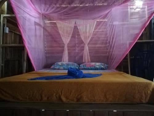 Queen Room with Garden View