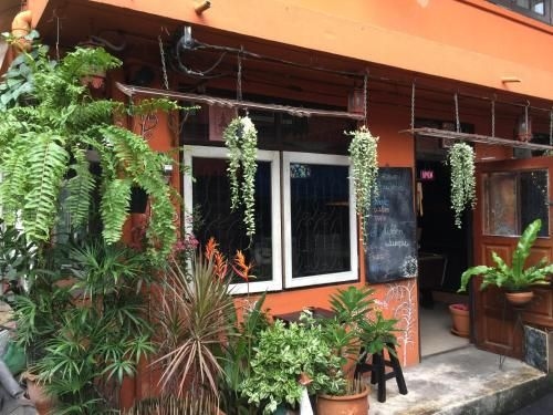 ฮิดเดน ลำภู (Hidden Lumpu)3